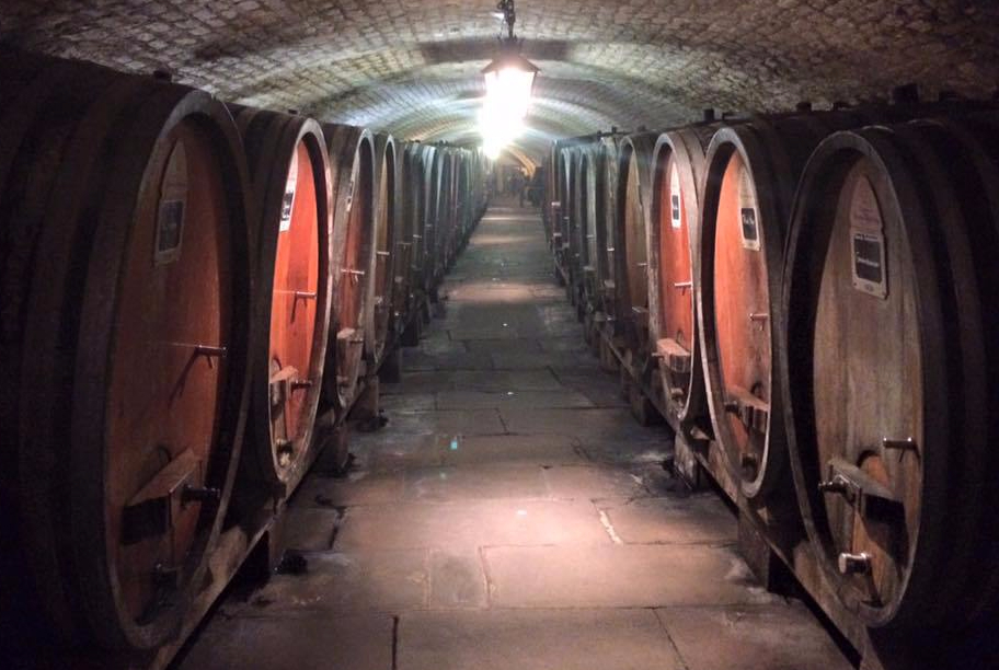 12002294_10204783154886342_6509305593816835500_n