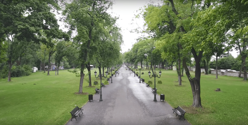 Screen Shot 2017-11-11 at 6.04.23 PM.png