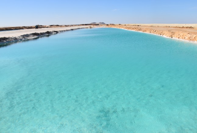 FullSizeRender 10.jpg